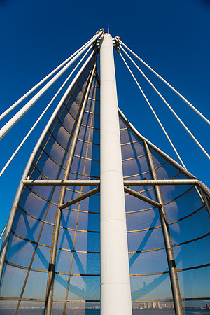 AMP_8876