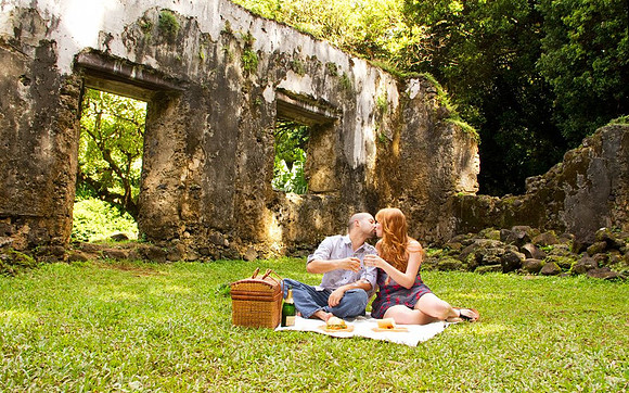 Picnic Lovers at Kaniakapupu